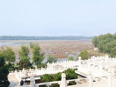 -青龙湖公园