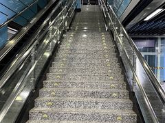 -大龙山(地铁站)