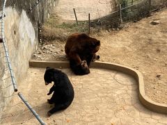 -无锡动物园·太湖欢乐园