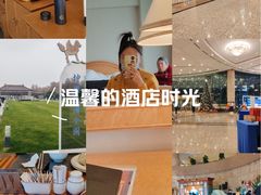 -南京维景国际大酒店(南京博物院店)