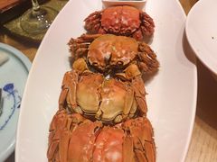 -吴越荣记·苏州菜·松鼠桂鱼(娄门景区店)