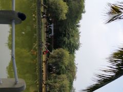 -金砂公园