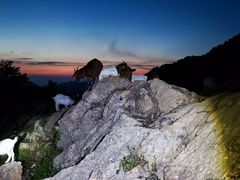 -泰山风景名胜区