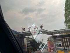 -小李子油焖大虾向阳总店