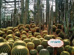-南山植物园