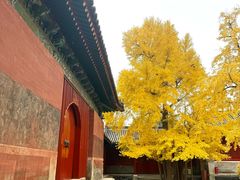 -承恩寺