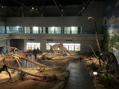 -自贡恐龙博物馆