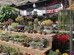 -秦美花卉(天朗·莱茵小城2期店)