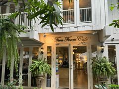 -Fern Forest Cafe