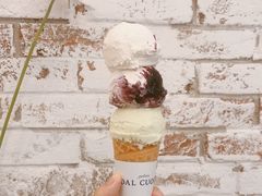 -Dal Cuore 达可芮冰淇淋(陕西北路店)