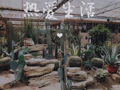 -桉树林A coffee 森林餐厅(三圣乡店)