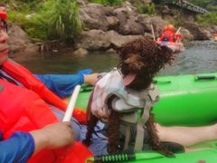 -安吉龙王山峡谷漂流