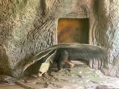 -深圳野生动物园