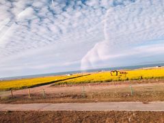 -青海湖国家重点风景名胜区