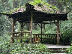 -青城山