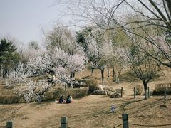 -莫子山公园