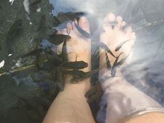 -三亚珠江南田温泉度假区