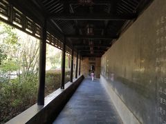 -杏花村文化旅游区