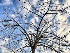 -星巴克(深圳前海企业公馆店)