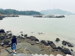 -野狸岛