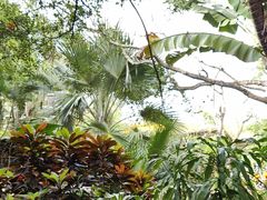 -海南热带野生动植物园
