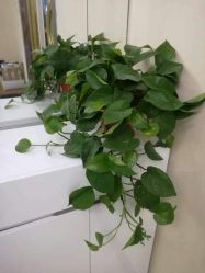 -Dr.林醫生产后修复·超级店(南京江宁同曦店)