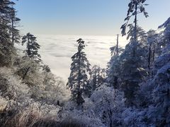 -瓦屋山景区