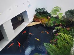 -罗红摄影艺术馆