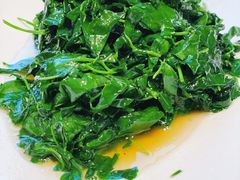 -蝶园·装修中(BFC外滩金融中心店)