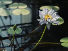 -国家植物园