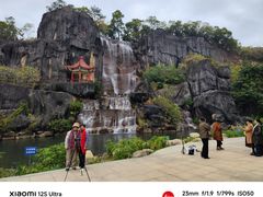 -金鸡山公园