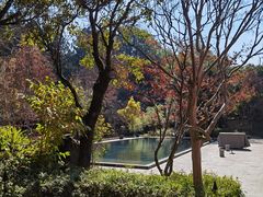 -和顺柏联温泉
