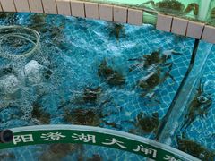 -品鲜村农家菜·阳澄湖大闸蟹(总店)