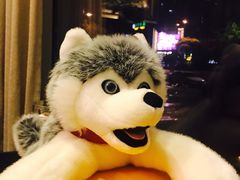 -1492雪茄威士忌俱乐部(明宇金融广场店)