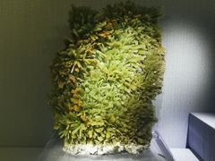 -湖南省地质博物馆