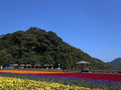-广州市石门国家森林公园