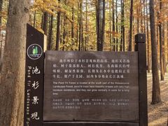 -日照海滨国家森林公园