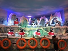 -帝企鹅自助餐厅•儿童岛•真企鹅(长隆企鹅酒店)