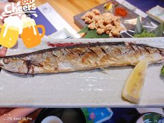盐烤秋刀鱼-浦·传统日式料理(3 5 1 1 店)