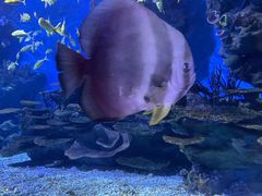 -海合安武汉极地海洋公园