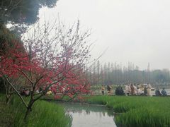 -圩墩遗址公园