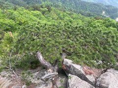 -罗田薄刀峰风景区