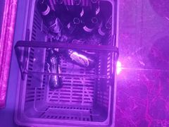 -欢乐迪KTV(南坪上海城店)