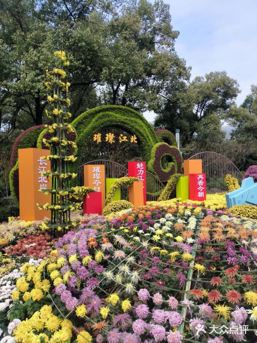 南山植物园图片