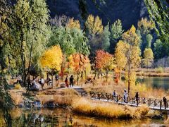 -百里山水画廊
