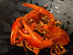 -虾小龙老长沙龙虾馆(坡子街店)