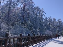 -瓦屋山景区