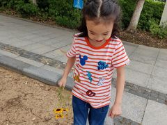 -尚贤河湿地