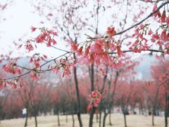 -牛岗山公园