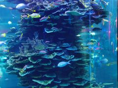 -泉城欧乐堡海洋极地世界